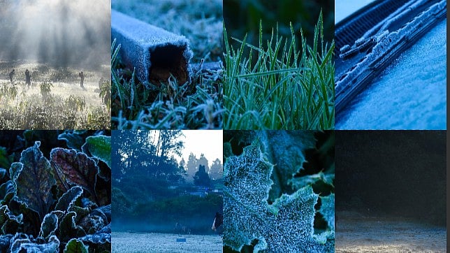 ஊட்டி: தாமதமாக துவங்கிய உறைபனி! | சில்லென சில க்ளிக்ஸ்