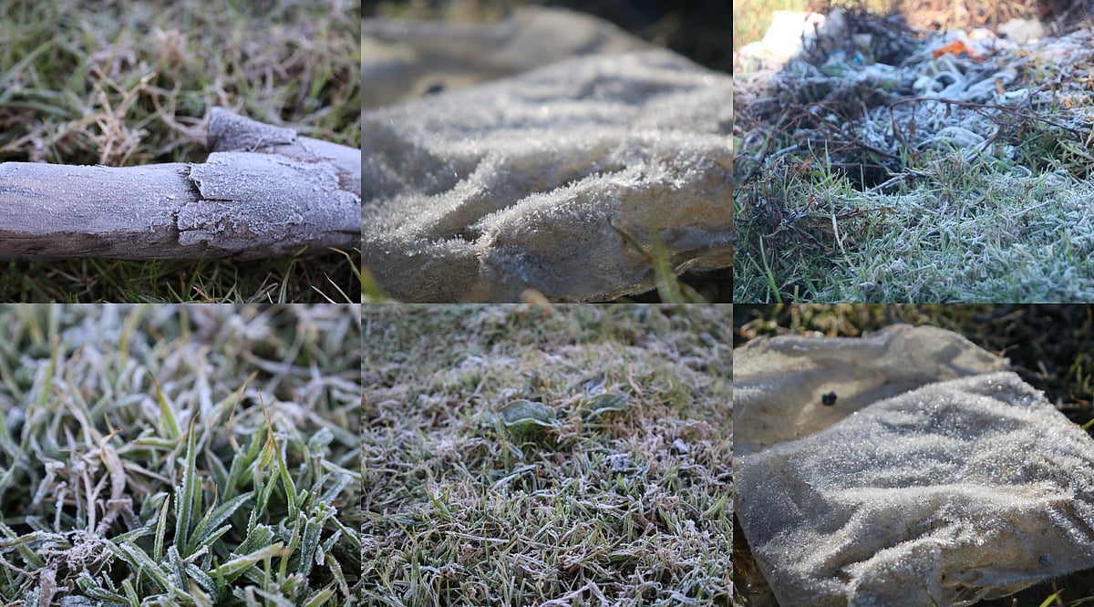 `எங்கும் படர்ந்த பனி’ - ஊட்டியில் கடும் குளிருடன் பனிப்பொழிவு!