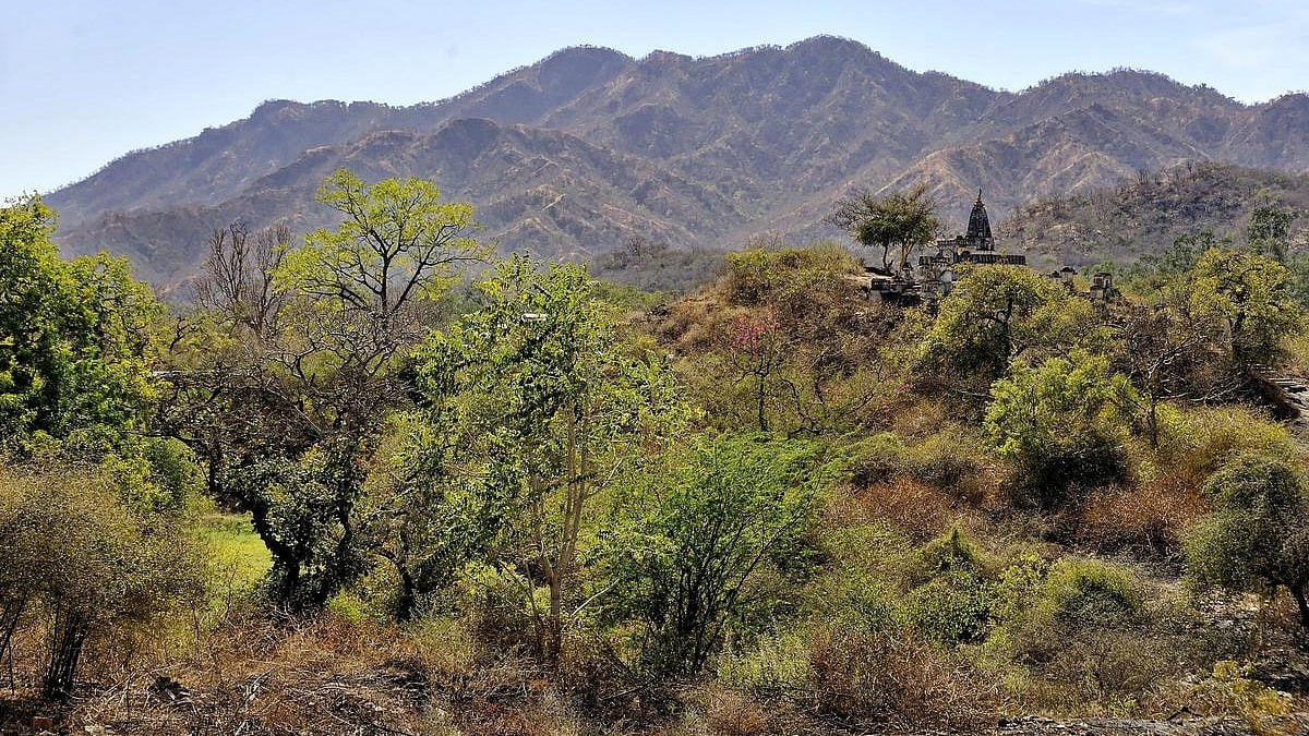 வட இந்தியாவை காக்கும் ஆரவல்லி மலைத்தொடர்; உச்ச நீதிமன்ற தீர்ப்பு குறித்து சூழலியல் ஆர்வலர்கள் கவலை!