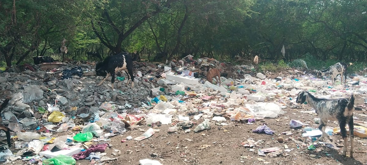 தேனியில் மலை போல் சேரும் குப்பைகள்! நடவடிக்கை எடுக்குமா நகராட்சி?