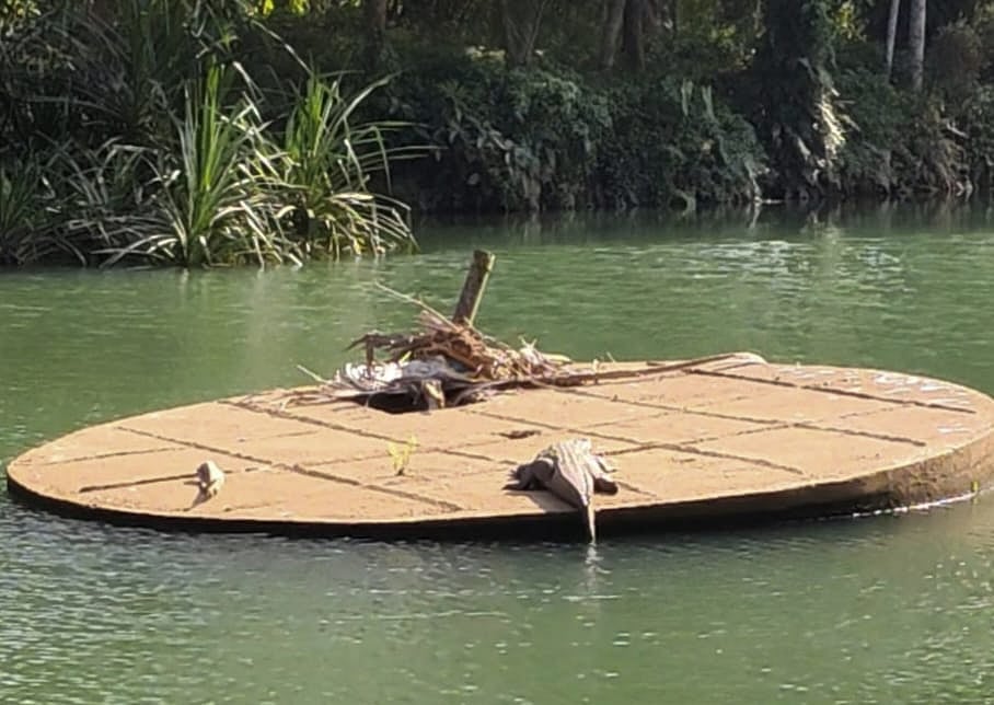 திற்பரப்பில் பீதியைக் கிளப்பும் முதலை;
மக்கள் ஆற்றில் இறங்க வேண்டாம் என எச்சரிக்கும் எம்.எல்.ஏ!