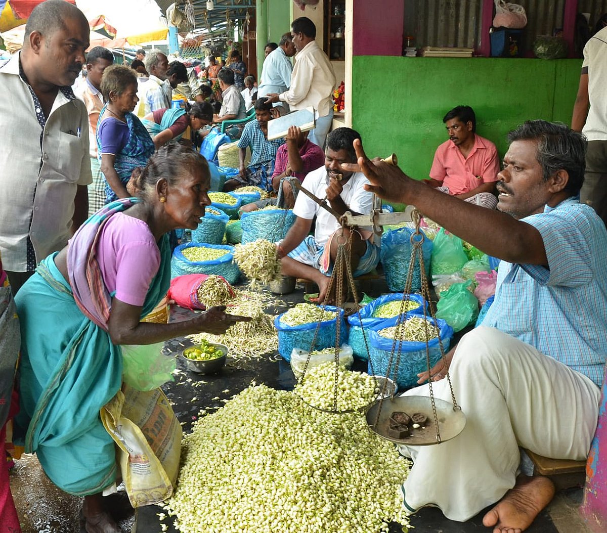 நிலக்கோட்டை: பூ மார்க்கெட்டில் கிலோ ரூ.10,000; வரலாறு காணாத விலையில் மல்லிகைப் பூ | Photo Album