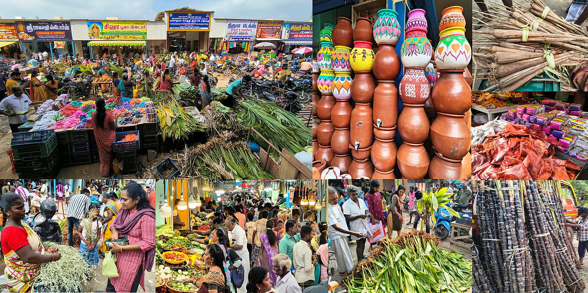 திருநெல்வேலி: மஞ்சள் குலை, பனங்கிழங்கு, கரும்பு கட்டுகள் - பாளை சந்தையில் களைகட்டிய பொங்கல் விற்பனை!