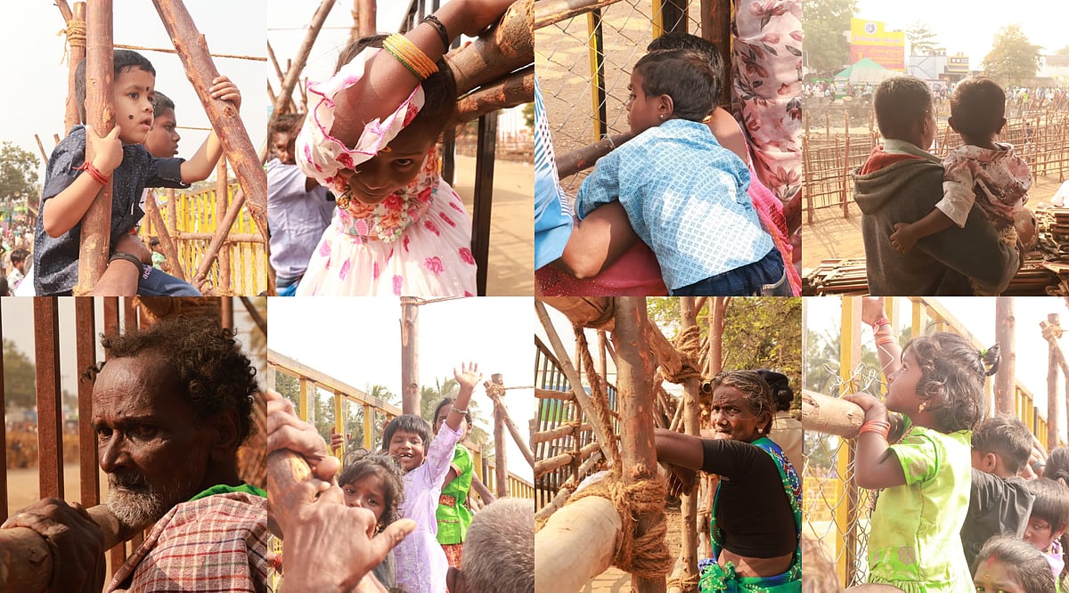 `எல்லா வயதினருக்கும் ஒரே உற்சாகம்' - ஜல்லிக்கட்டு களத்தை சுற்றி நடந்த சுவாரஸ்ய சம்பவங்கள்! | Photo