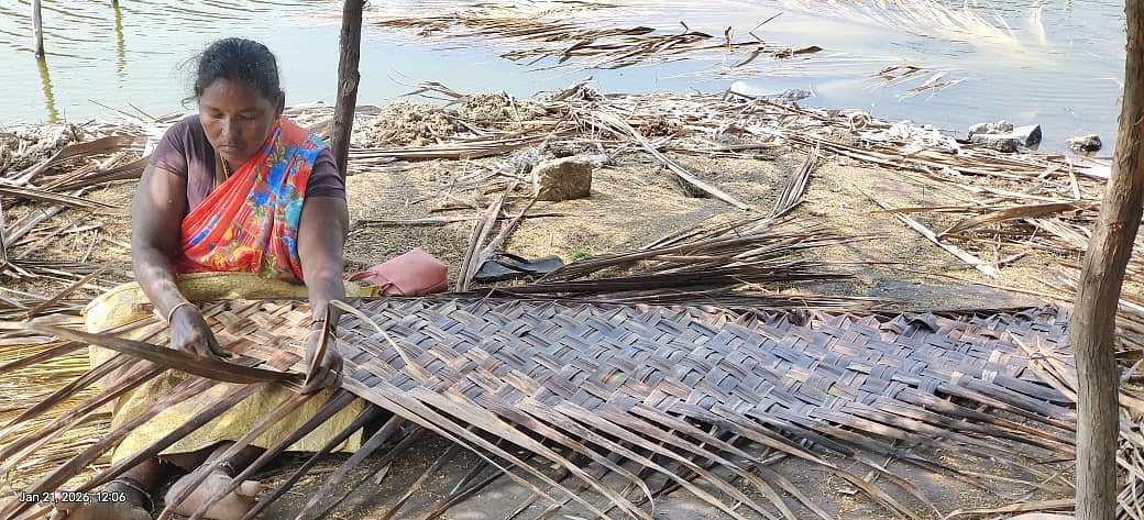 அதிகரித்து வரும் சாமியானா பந்தல்; நலிந்து வரும் தென்னந்தட்டி தொழில் - தொழிலாளர்களின் கோரிக்கை என்ன? 