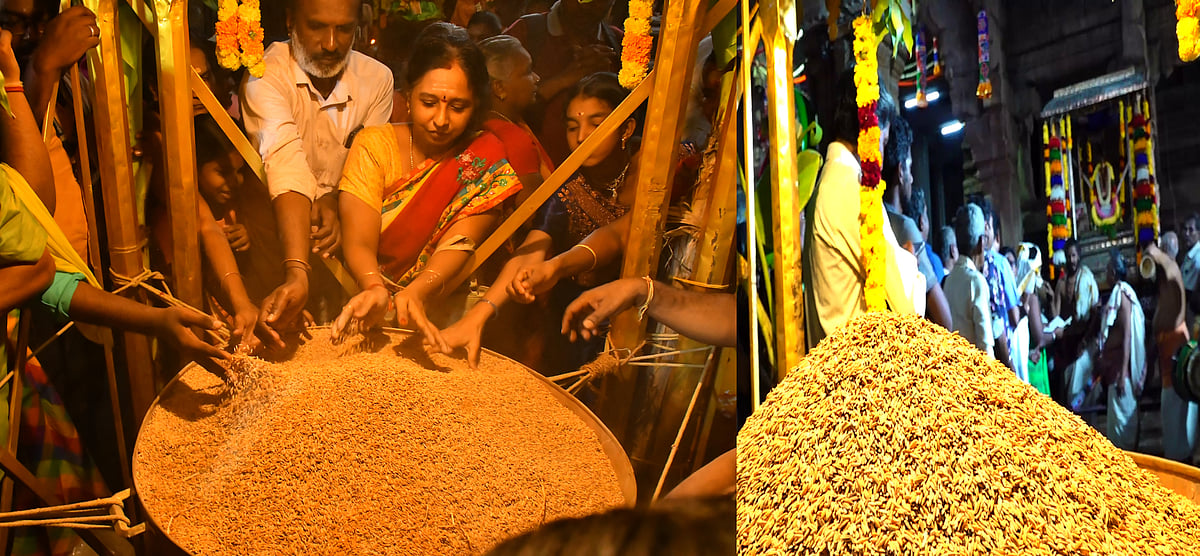 திருநெல்வேலி: நெல்லையப்பர் திருக்கோயில் 'நெல்லுக்கு வேலியிட்ட திருவிளையாடல் காட்சி' திருவிழா!