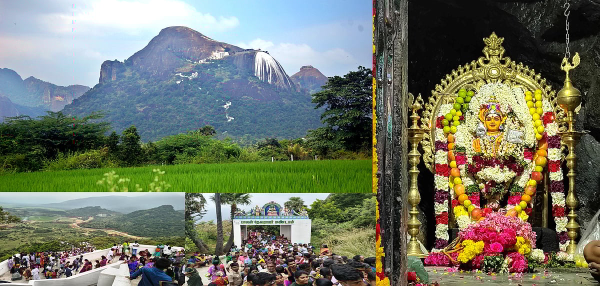 தென்காசி: '1500 அடி உயர மலை; 1300 படிக்கட்டுகள்' - தோரணமலை முருகன் கோயில் தைப்பூச விழா | Photo Album