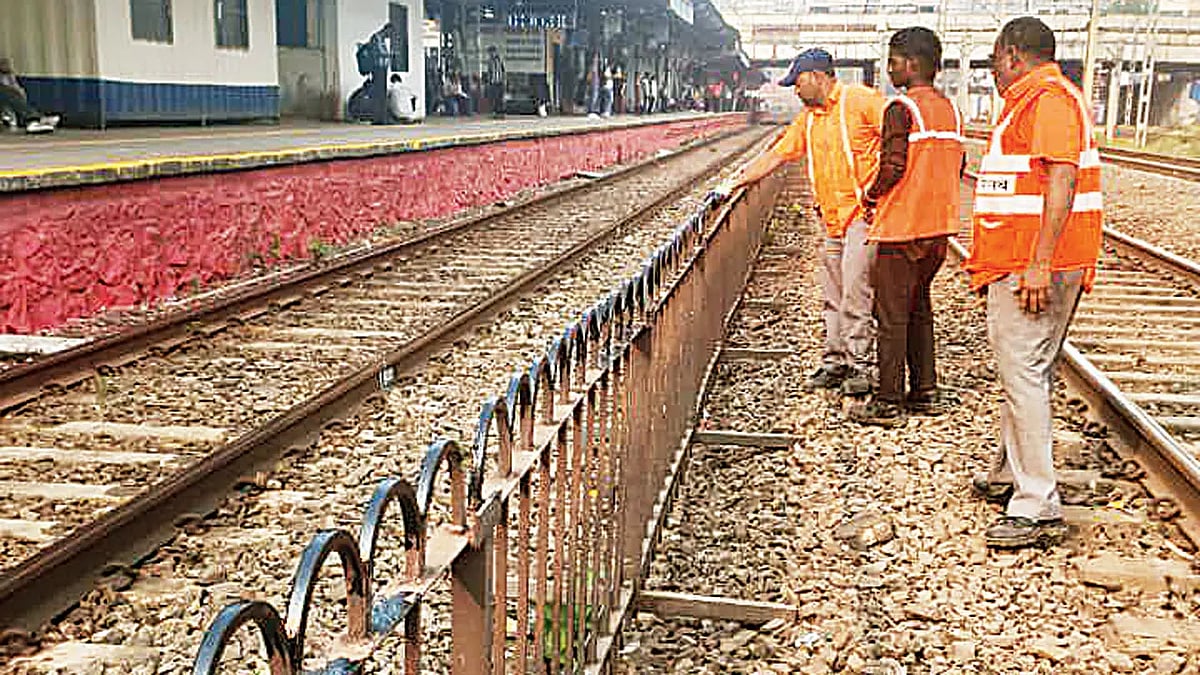 மும்பை: ரயில் தண்டவாளத் தடுப்புகளில் கிரீஸ் தடவும் பணி; ரயில்வேயின் திட்டத்தின் பின்னணி என்ன?