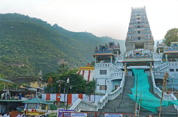 கோவை மாவட்டம் மருதமலை மருதாசலமூர்த்தி கோயில்: பிரச்னைகள் தீர்க்கும் பாம்பாட்டிச் சித்தர் விபூதி