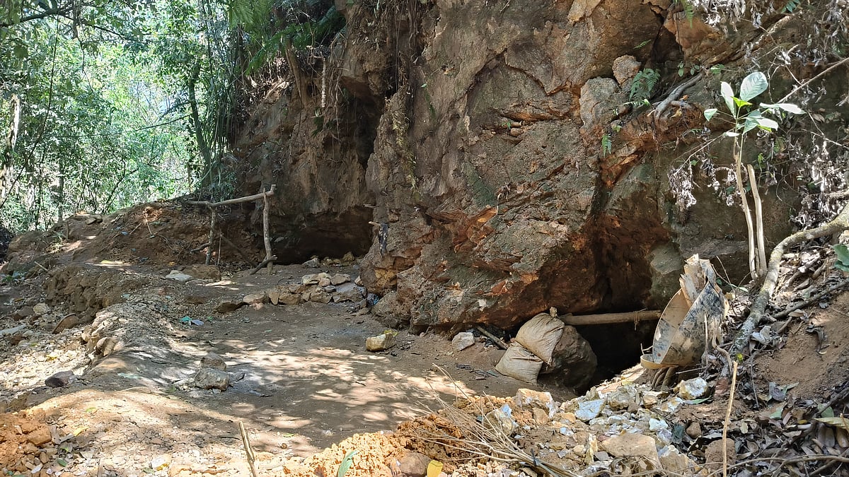 நீலகிரி: எகிறும் தங்கம் விலை; சட்டவிரோத தங்கச் சுரங்கங்கள் பக்கம் திரும்பிய கேரள மாஃபியா கும்பல்!