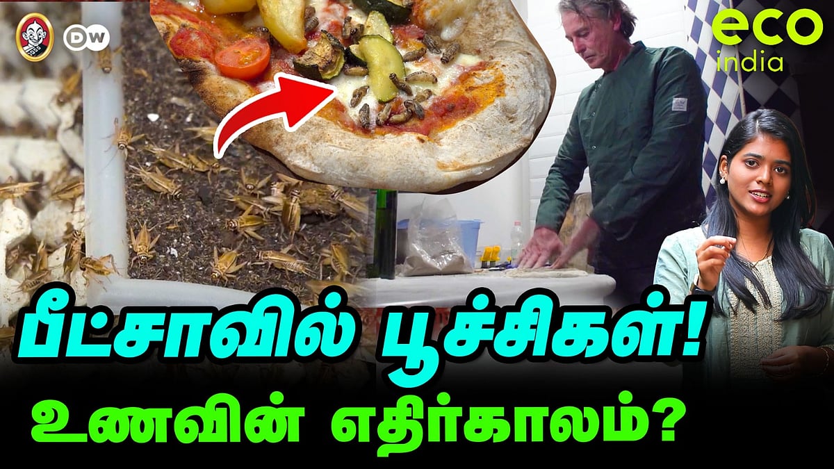 ECO India : இறால் பண்ணை முதல் Pizza வரை... வீடியோ பாருங்க... பரிசை அள்ளுங்க.! - இந்த வாரம் தயாரா?