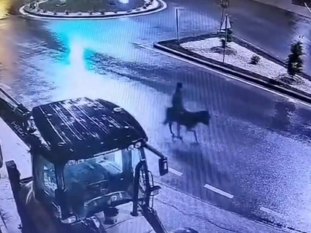 துருக்கி: நகைக்கடையில் திருடி விட்டு கழுதையில் ஏறி தப்பிய நபர்; வைரல் வீடியோவின் பின்னணி என்ன?