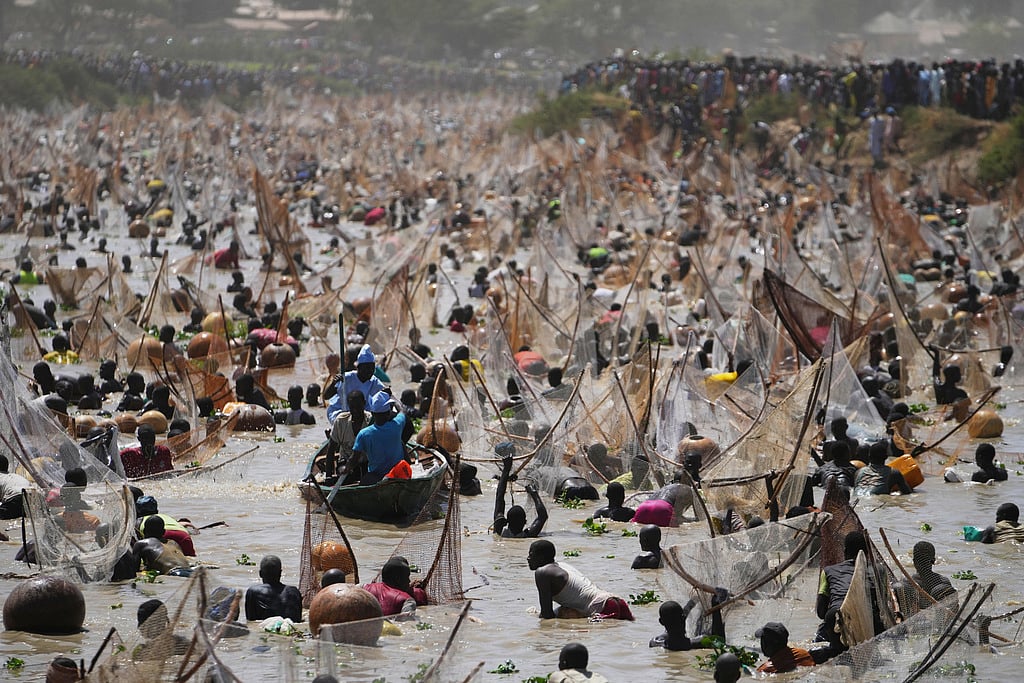 Nigeria Argungu Fishing: ஆயிரக்கணக்கானோர் மீன்பிடித்த அபூர்வ நிகழ்வு - நைஜீரியாவின் பாரம்பரிய விழா!