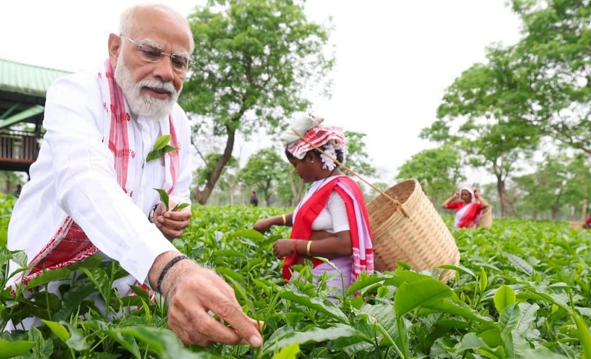 அஸ்ஸாமில் தேயிலை பறித்து வாக்கு சேகரித்த பிரதமர் மோடி - வைரலாகும் புகைப்படங்கள்|Photo Album 