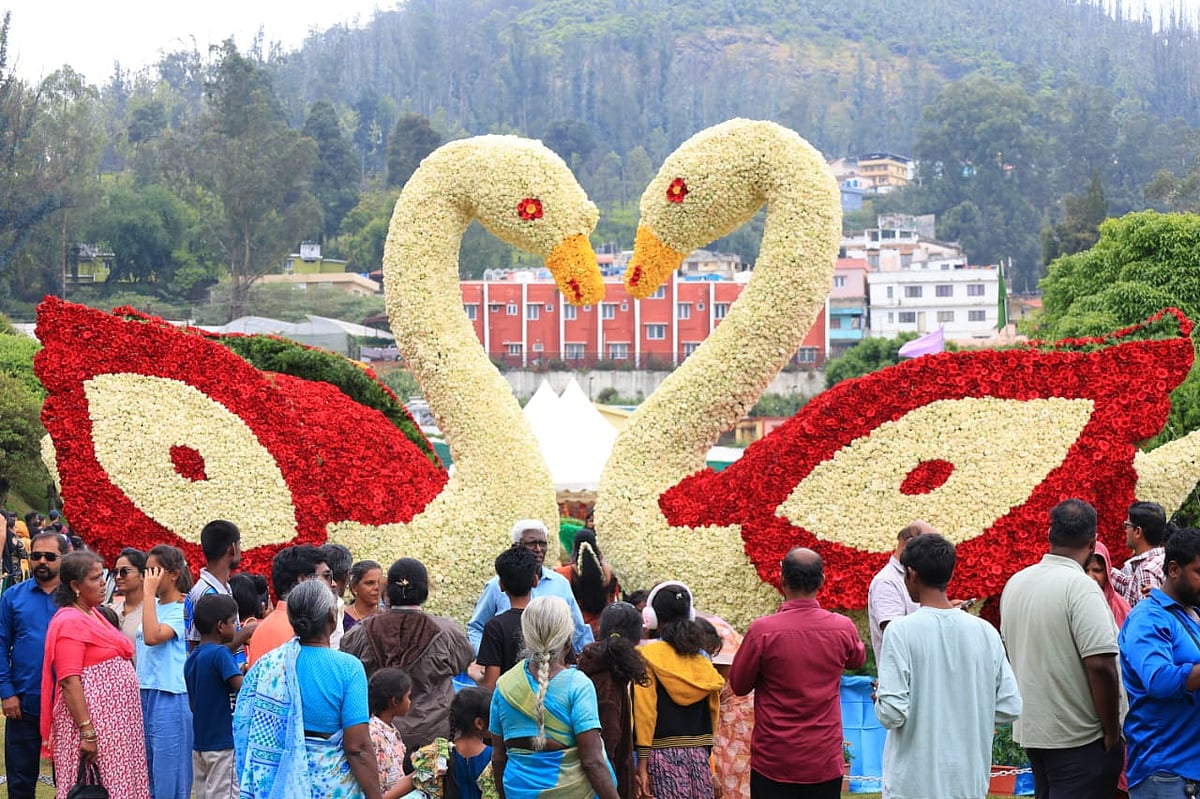 Ooty Rose Show: ஹார்ன் பில் முதல் ஹம்மிங் பறவை வரை; 2 லட்சம் ரோஜாக்களால் களைகட்டும் ஊட்டி!