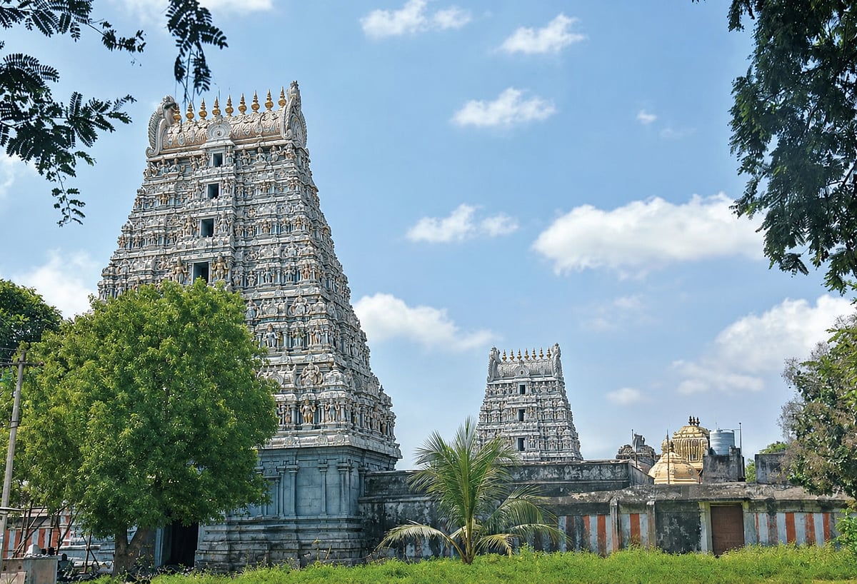 நாகப்பட்டினம் மாவட்டம் திருவிடைக்கழி முருகன் திருக்கோயில் - வினைகள் விலகும்... திருமணம் கைகூடும்!