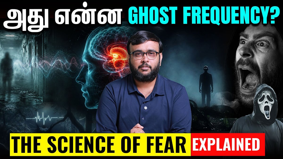 இருட்டைப் பார்த்தால் ஏன் உறைகிறோம்? The Mind-Bending Science of Fear | The Logic Show