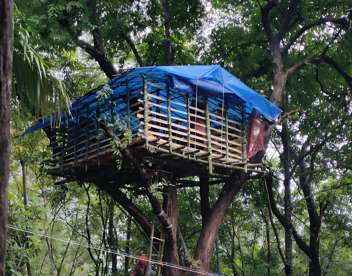 குமரி: யானை மனித எதிர்கொள்ளலை தவிர்க்க மரங்களில் ஏறுமாடம்; பாரம்பர்யத்துக்கு திரும்பும் பழங்குடிகள்!