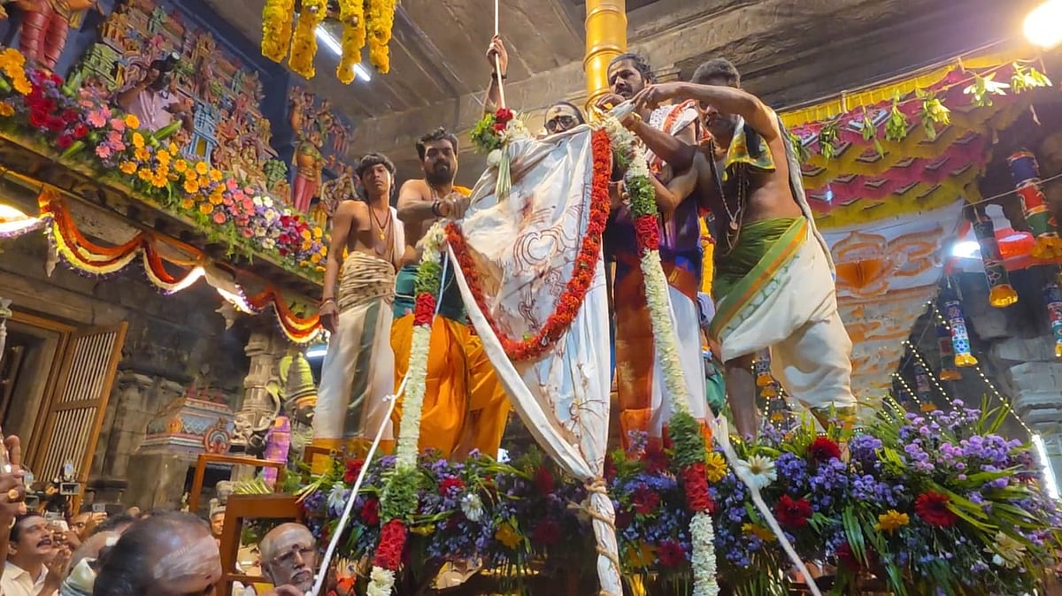 திருநெல்வேலி: நெல்லையப்பர் திருக்கோயில் ஆனிப் பெருந்திருவிழா கொடியேற்றம்! | Photo Album