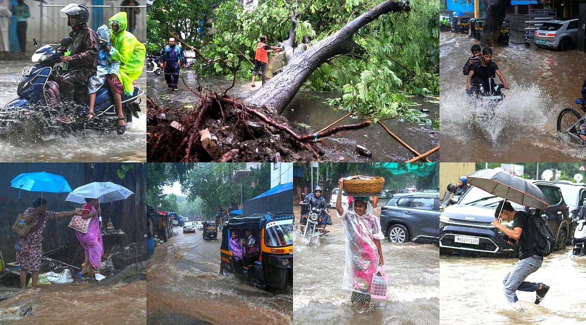 சாலையை சூழ்ந்த வெள்ளம்; சாய்ந்த மரங்கள்! - மும்பையை புரட்டிப் போட்ட கனமழை! | Photo Album 