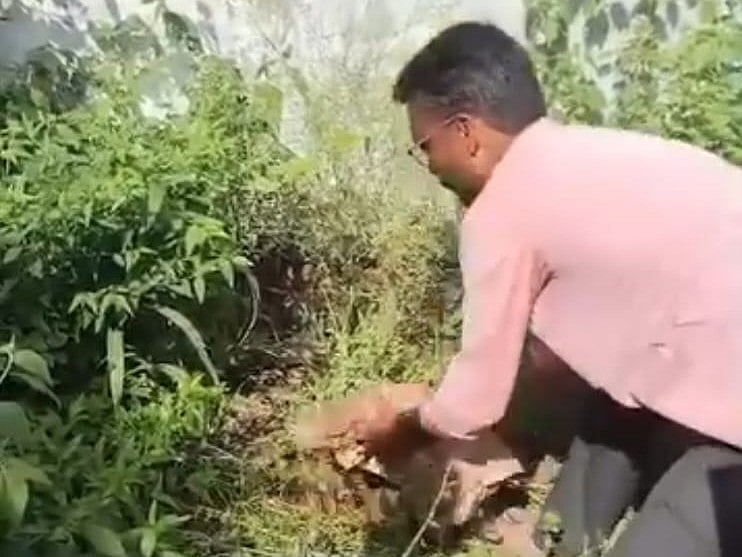கோவை: சாலையில் வீசப்பட்ட பச்சிளம் குழந்தை - கிராம மக்கள் அதிர்ச்சி! 
