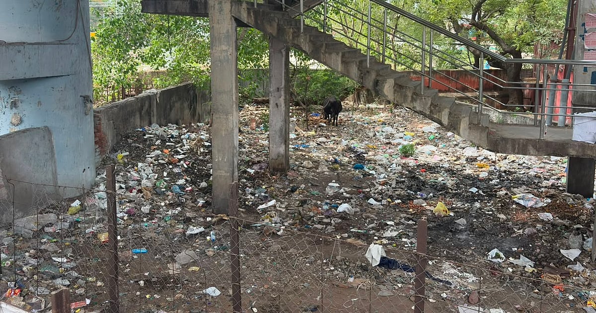 விழுப்புரம்: குப்பைக் கிடங்காக மாறிய திண்டிவனம் மேம்பாலம்! - கண்டுகொள்ளாத நகராட்சி; தீர்வு?