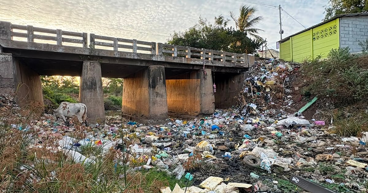 திருச்சி தீரன்நகர்: குவியும் குப்பை... பாழாகும் கோரையாறு - சுகாதார சீர்கேட்டுக்கு தீர்வு காணப்படுமா?