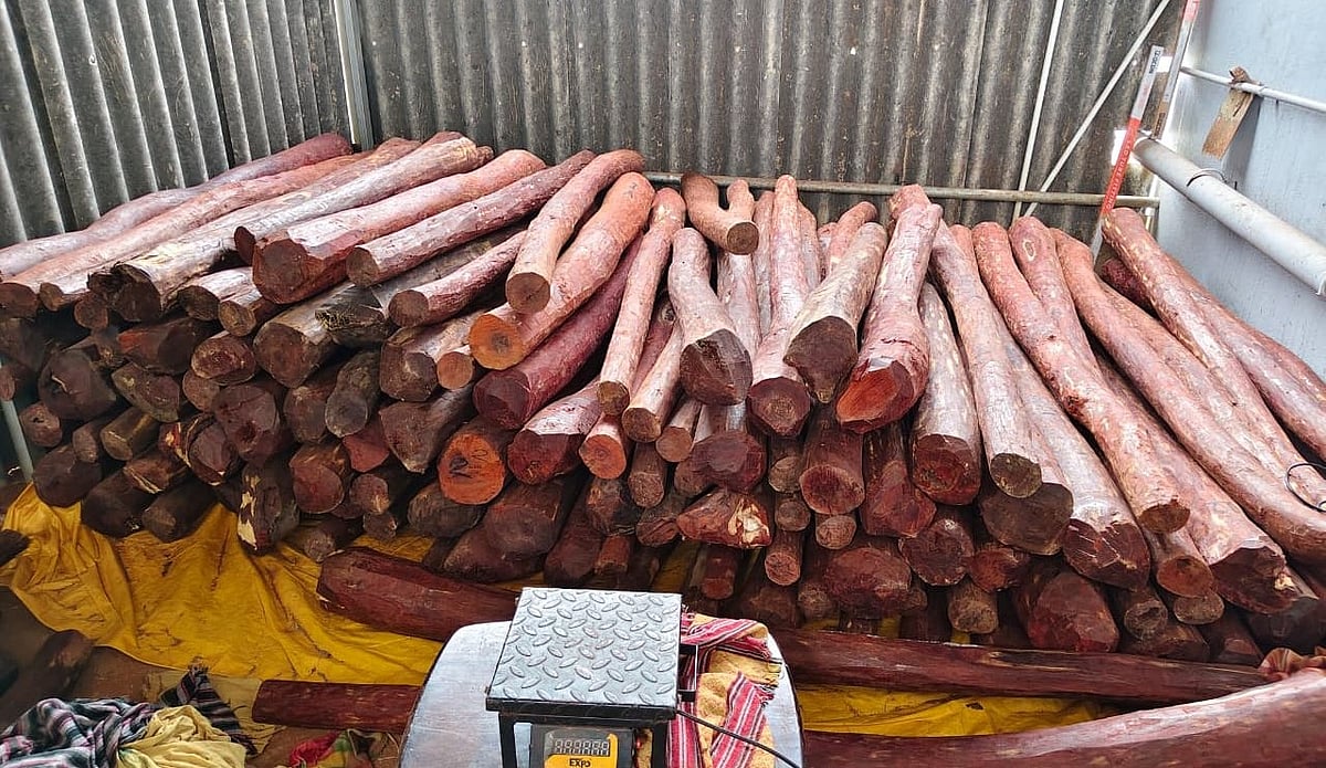 அரக்கோணம்: கார் ஷெட்டில் ரூ.50 லட்சம் மதிப்பிலான செம்மரக் கட்டைகள்; சிக்கிய இருவர்; பின்னணி என்ன?