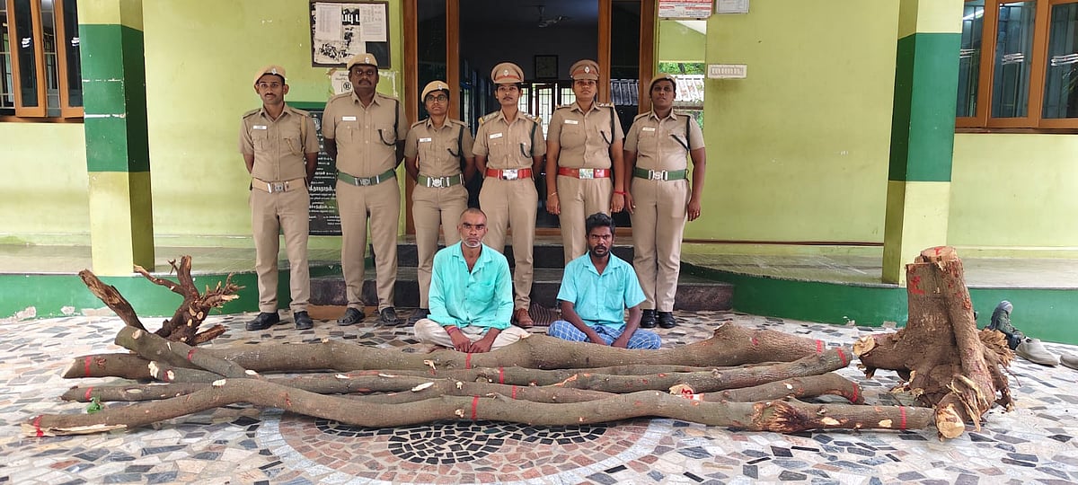 ஈரோடு:‌ 100 கிலோ சந்தன மரக்கட்டைகளை வெட்டி பதுக்கிய கடத்தல் கும்பல்; வனத்துறையிடம் சிக்கியது எப்படி?
