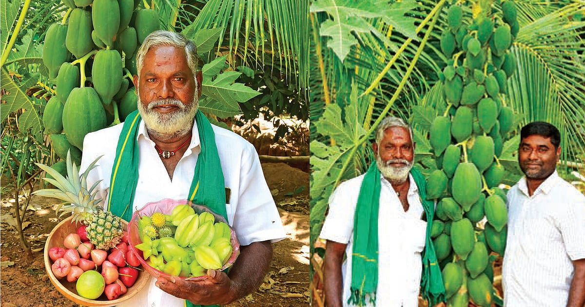 5.5 ஏக்கரில் உணவுக்காடு அமைத்து ஆண்டுக்கு ரூ.5 லட்சம் லாபம்