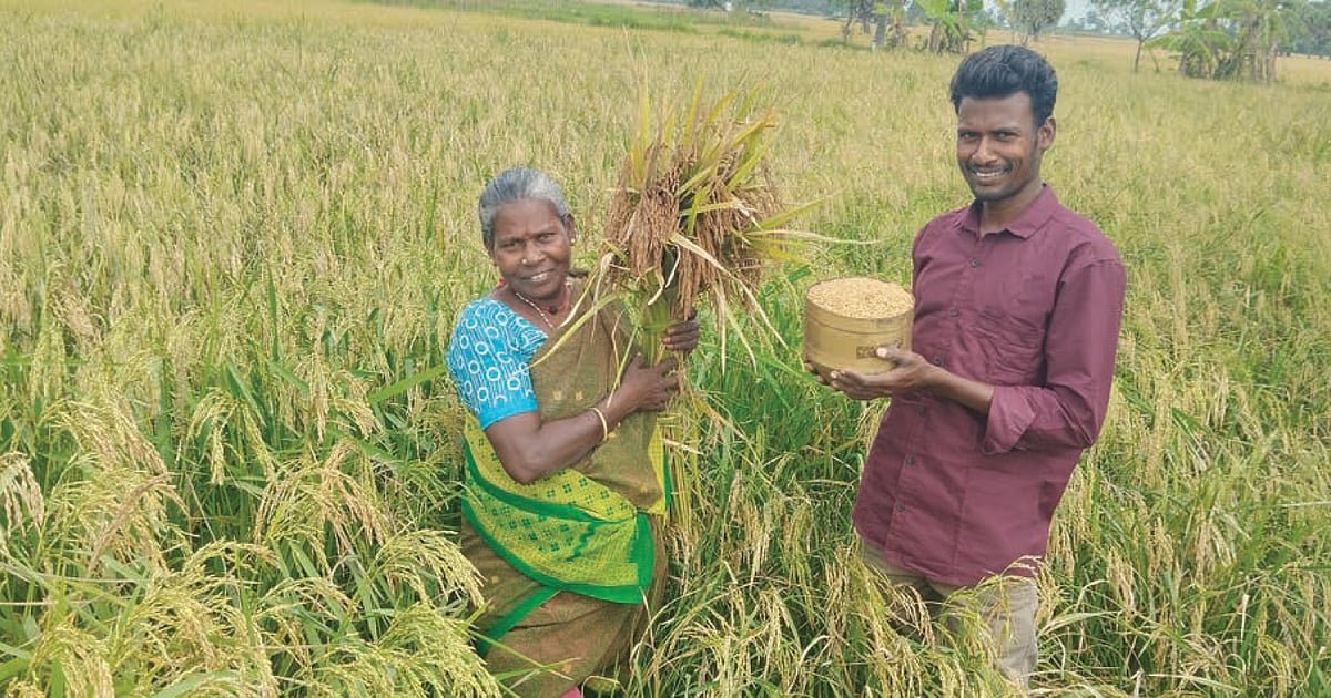 பாரம்பரிய நெல் ரகம் மூலம் ஏக்கருக்கு ரூ.60 ஆயிரம் லாபம்