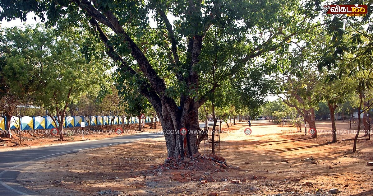 தூத்துக்குடி: இடிக்கப்பட்ட விநாயகர் ஆலயம்; கற்பூரம் கொளுத்தி பஜனைப் பாடி வழிபட்டு வரும் ஊர் மக்கள்