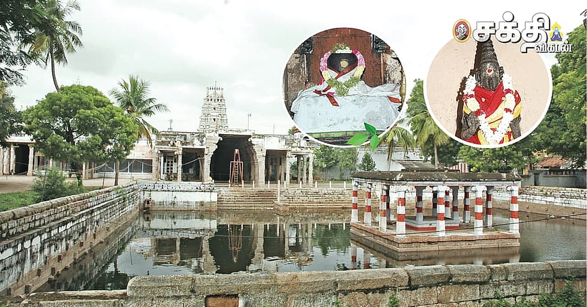 விருதுநகர் மாவட்டம், திருச்சுழி திருமேனிநாதர்: காலையில் தரிசனம் செய்தாலே அஸ்வமேத யாகம் செய்த பலன்!