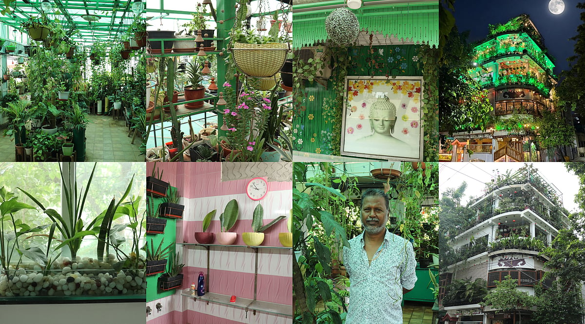 செடிகளுக்கு நடுவே ஒரு வீடு! 20 ஆண்டுகளாகப் பசுமையில் வாழும் சென்னை தினகர் | Photo Album
