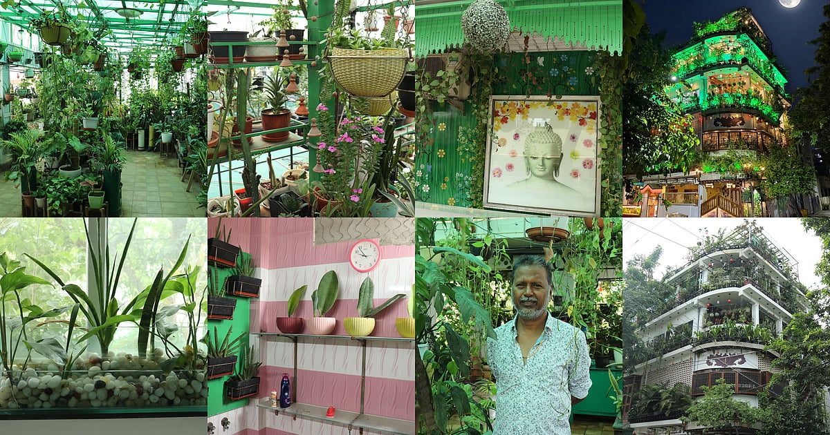 செடிகளுக்கு நடுவே ஒரு வீடு! 20 ஆண்டுகளாகப் பசுமையில் வாழும் சென்னை தினகர் | Photo Album