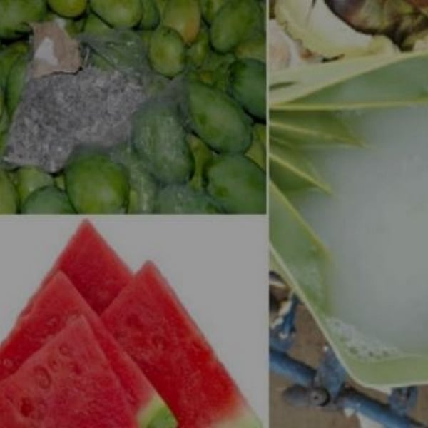 தர்பூசணி, பதநீர் மற்றும் மாம்பழத்தில் ரசாயனங்கள்... கண்டறிவது எப்படி