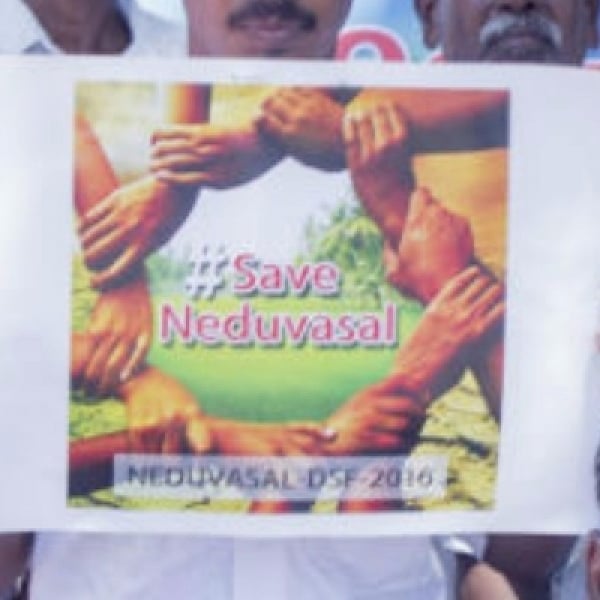 அப்போது வாடிவாசல்... இப்போது நெடுவாசல்... வலுக்கும் போராட்டம்..! | It ...