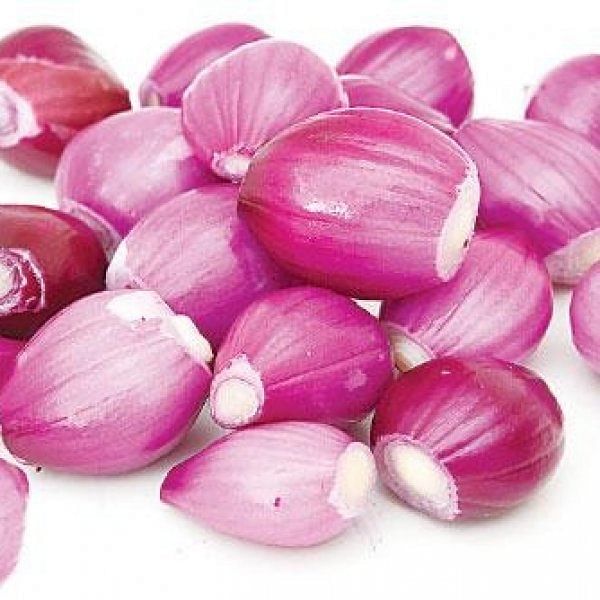 Onion A Shield That Protects Our Body Vikatan