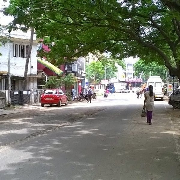 சென்னையில் குறையும் மரங்களின் எண்ணிக்கை; ஆய்வு சொல்லும் அதிர்ச்சி தகவல்!