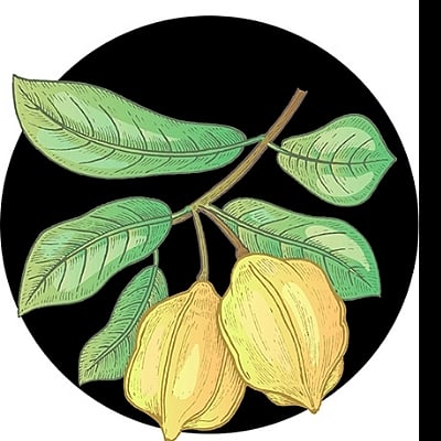 ஈறு முதல் இதயம் வரை... நலம் பல தரும் அர்ஜூனா! #HealthTips | Health ...