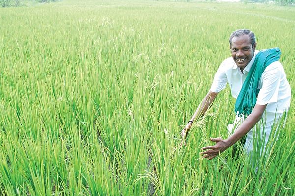 நெல் ஜெயராமன் தன் மகனுக்கு என்ன செய்திருப்பாரோ அதை சிவகார்த்திகேயன் செய்கிறார்!- இரா. சரவணன்
