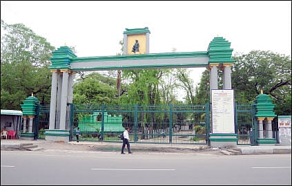 பச்சையப்பன் கல்லூரி