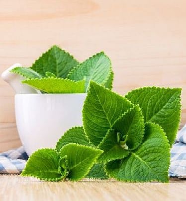 Food & Health: நாம் அடிக்கடி சாப்பிட வேண்டிய 10 உணவுகள்!