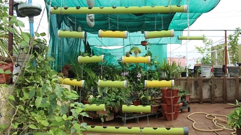 A Complete Guide To Setup Terrace Garden, How To Start Terrace Garden In Tamil