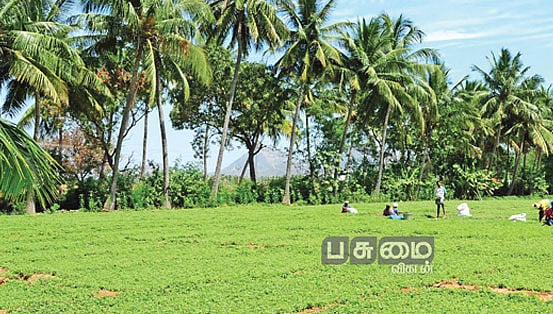 `இயற்கை வேளாண்மையில் சிறந்த கிராமம்' விருது; கேரளாவின் கொட்டுவள்ளி ...