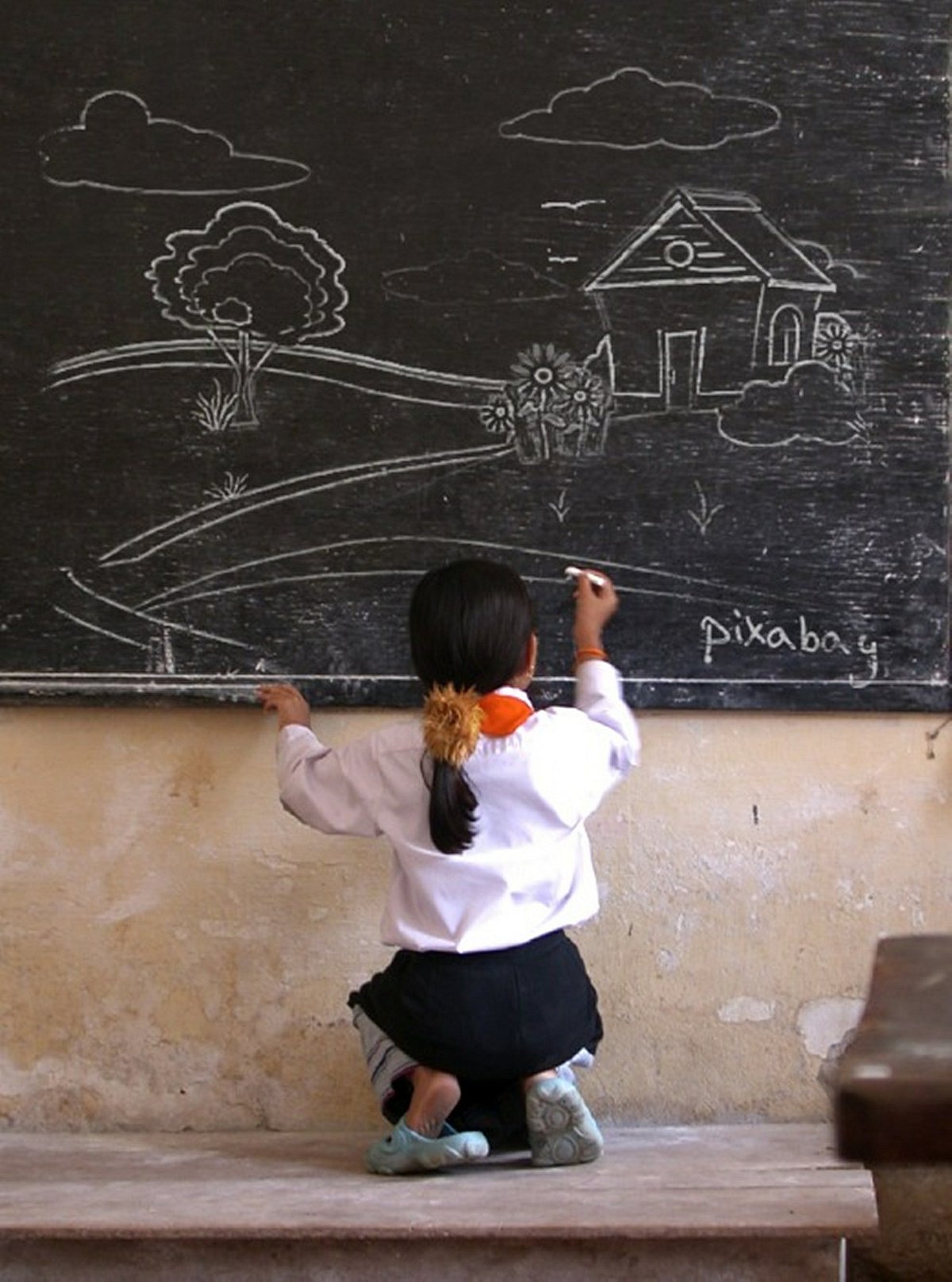 School Student
