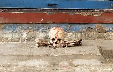  மனித மண்டை ஓடு