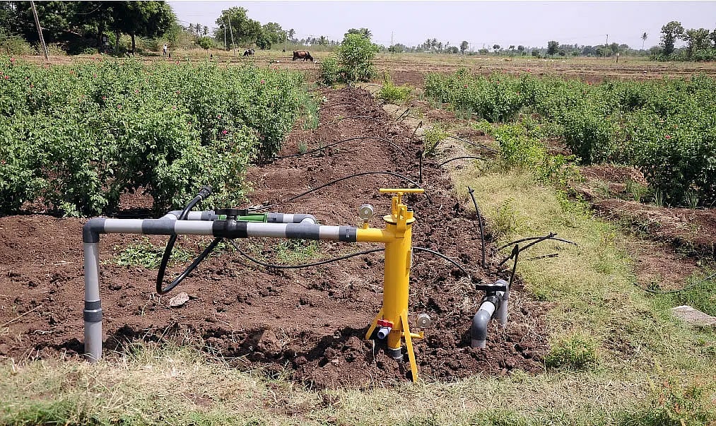 சொட்டுநீர்ப் பாசனம் அமைக்க மானியம் பெறுவது எப்படி? ஓர் எளிய