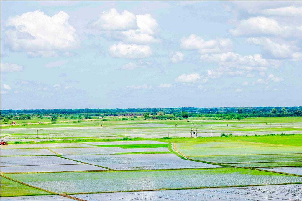 விவசாயம்