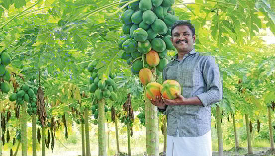 Pasumai Vikatan 10 December 2020 ஒரு ஏக்கர், 5 மாதங்கள், ரூ. 1